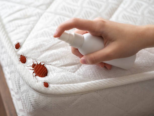 Best Cockroach Control  in Summerville, GA